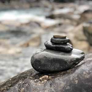 Meet your Posher, Lili